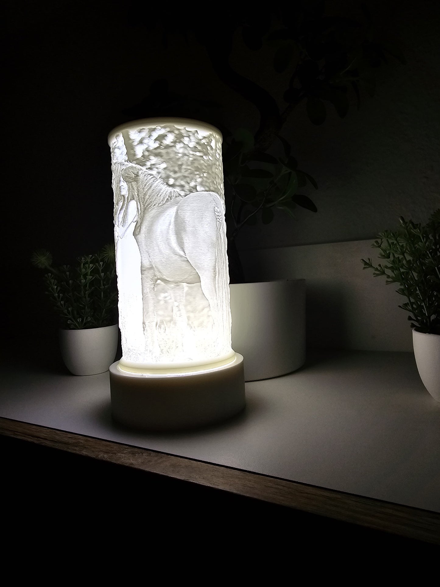 Lithophane rund: Fotolampe in Zylinderform